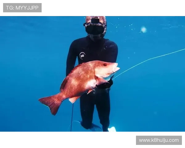 K8捕鱼网的社交互动功能详解打造最佳捕鱼体验的方法