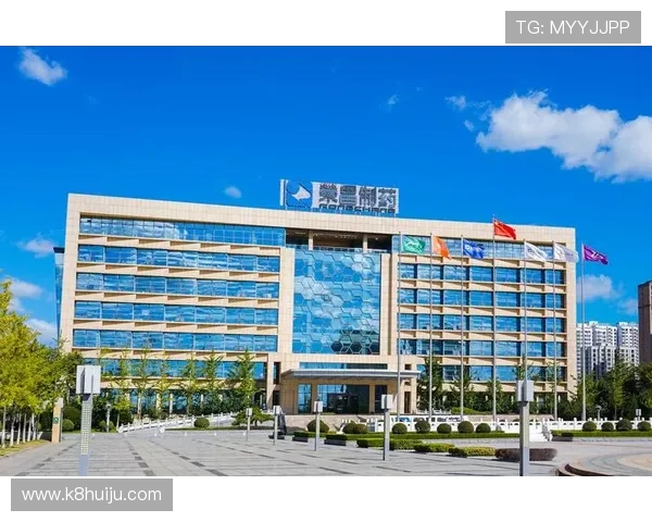 凯发国际k8官网登录入口官方入口地址推荐确保玩家轻松访问无障碍登录体验